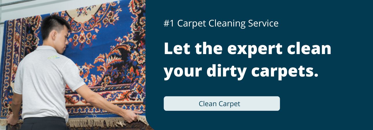 carpet cleaning service e-banner